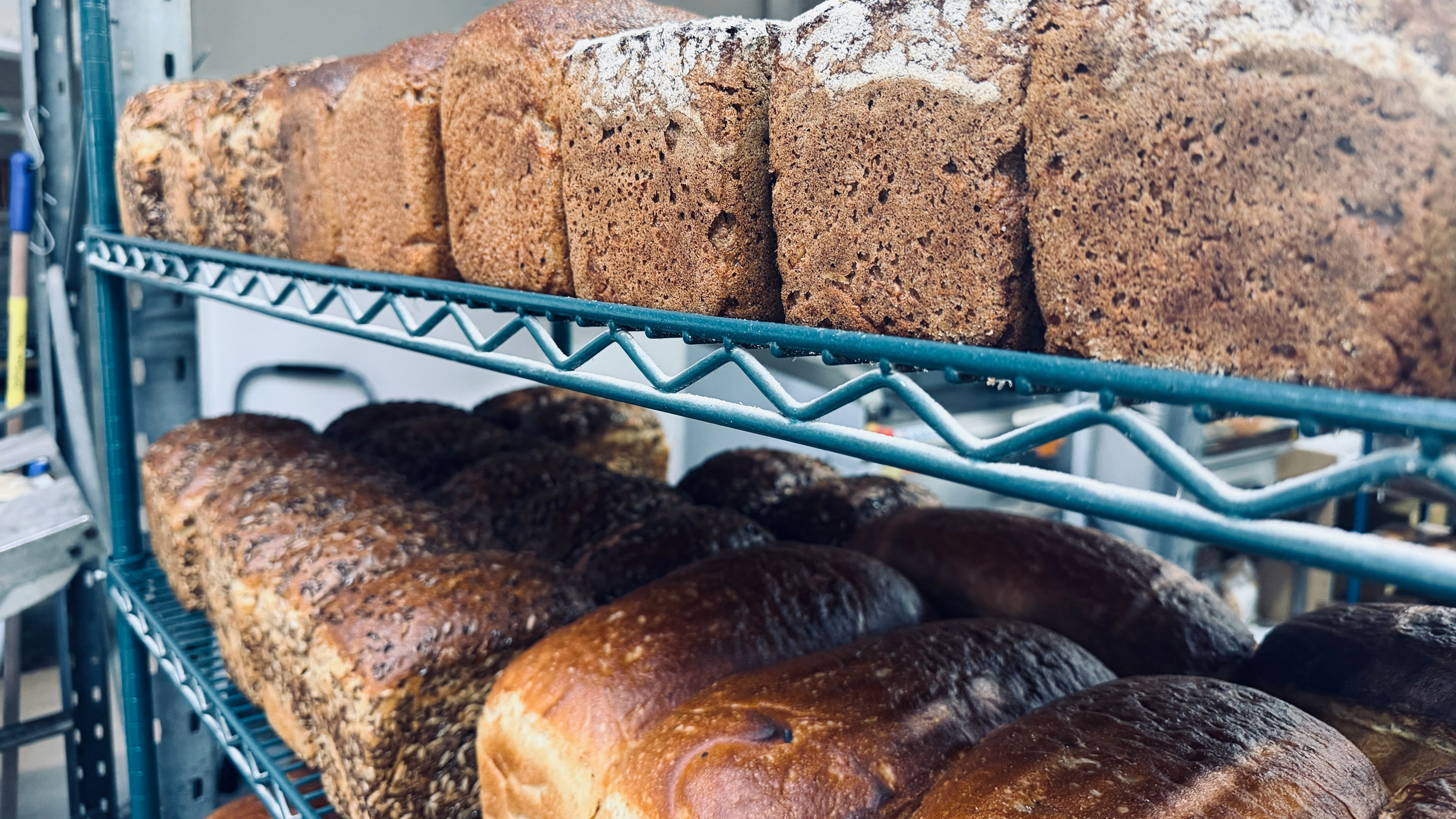 Freshly baked artisanal bread loaves displayed on teal wire shelving in a bakery or storage area.